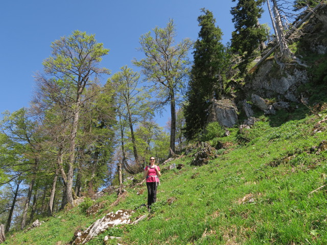 Sabine am Weg E10 zwischen Reiflingeck und Hochzöbel (6. Mai)