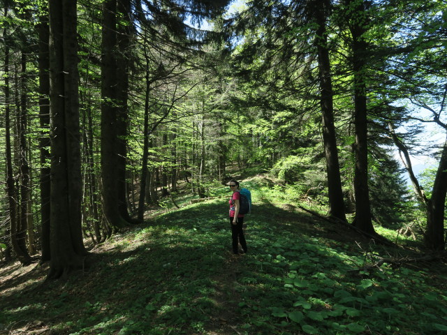 Sabine am Weg E10 zwischen Reiflingeck und Hochzöbel (6. Mai)