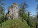 Weg E10 zwischen Ochsenkogel und Reiflingeck (6. Mai)