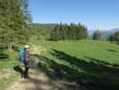 Sabine am Weg 499 zwischen Menaueralm und Schüttbaueralm (6. Mai)