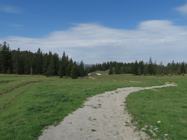 Weg 436 zwischen Alplgraben und Hinteralm