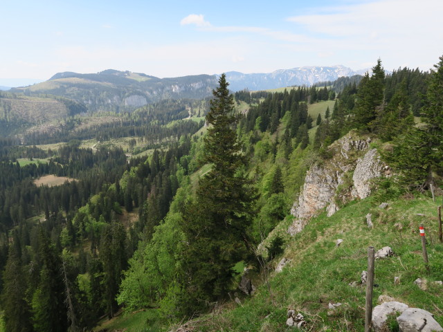 neben Weg 401 zwischen Hinteralm und Spielkogel