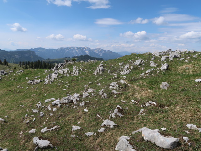 neben Weg 401 zwischen Spielkogel und Waxeneggh&uuml;tte