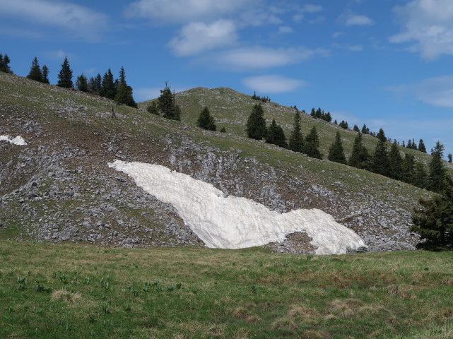 neben Weg 401 zwischen Spielkogel und Waxeneggh&uuml;tte
