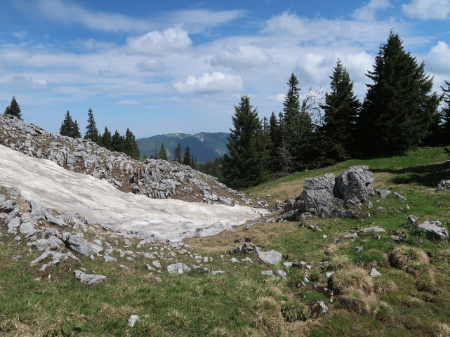 Weg 401 zwischen Spielkogel und Waxenegghütte