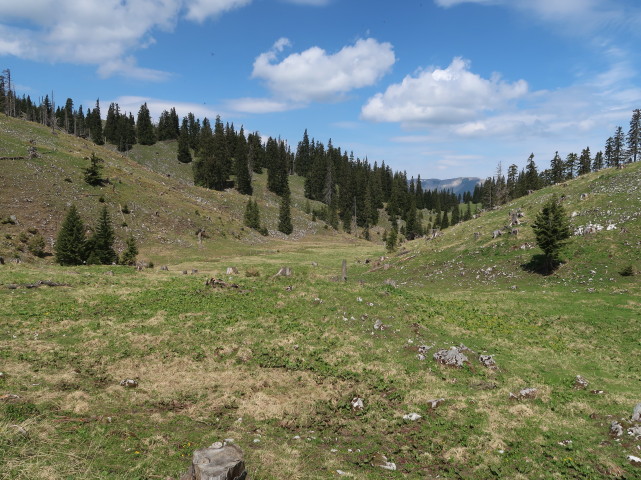 neben Weg 401 zwischen Spielkogel und Waxeneggh&uuml;tte