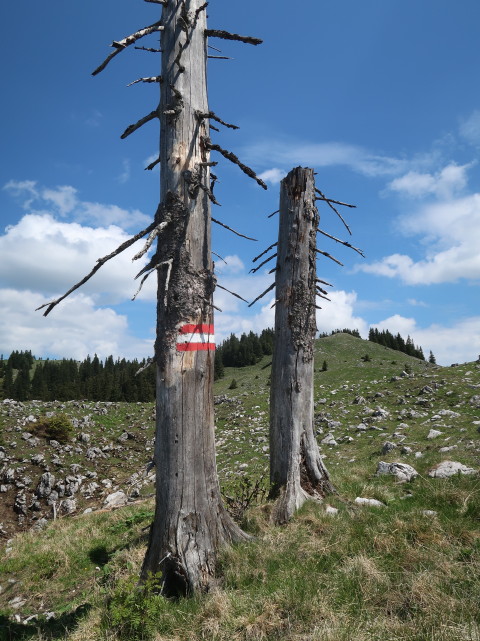 Weg 401 zwischen Spielkogel und Waxenegghütte