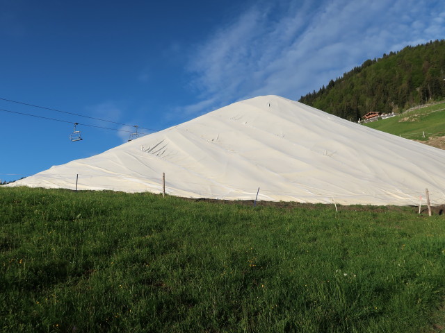 zwischen Kirchanger und Gaisbergst&uuml;berl (12. Mai)