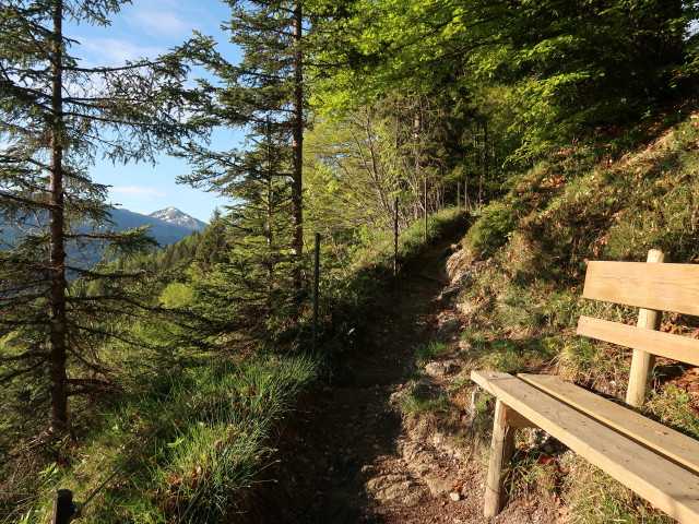 zwischen Gaisbergst&uuml;berl und B&auml;rst&auml;ttalm (12. Mai)