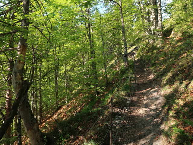 zwischen Gaisbergst&uuml;berl und B&auml;rst&auml;ttalm (12. Mai)