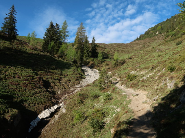 zwischen Gaisbergst&uuml;berl und B&auml;rst&auml;ttalm (12. Mai)