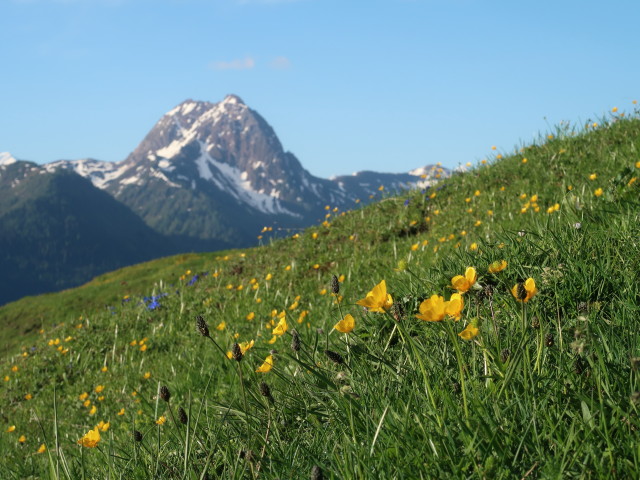 Gro&szlig;er Rettenstein von der B&auml;rst&auml;ttalm aus (12. Mai)