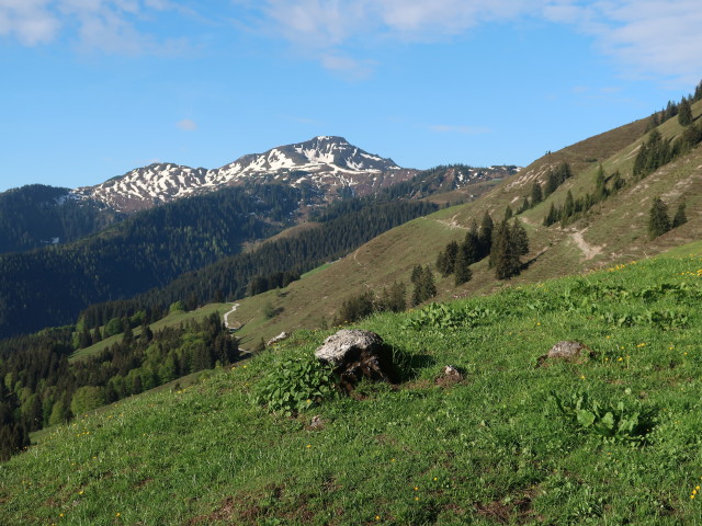 Brechhorn von der B&auml;rst&auml;ttalm aus (12. Mai)