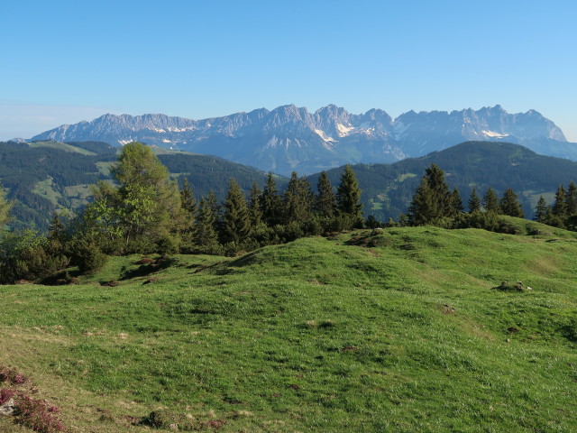 zwischen B&auml;rst&auml;ttalm und Gaisberg (12. Mai)