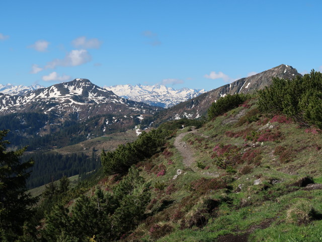 zwischen Gaisberg und Wiegalm (12. Mai)