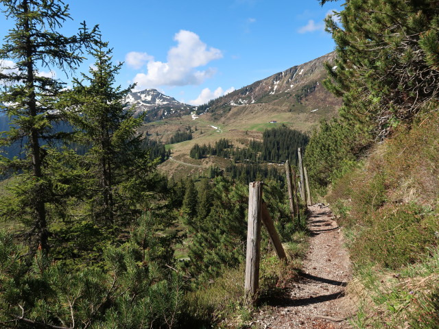 zwischen Gaisberg und Wiegalm (12. Mai)