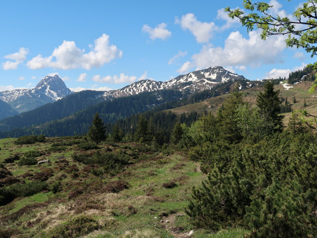 zwischen Gaisberg und Wiegalm (12. Mai)