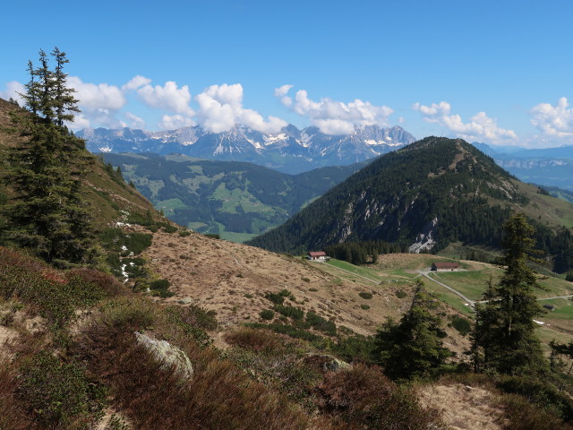 zwischen Wiegalm und Gampenkogel (12. Mai)