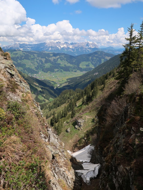 vom Weg 81 Richtung Norden (12. Mai)