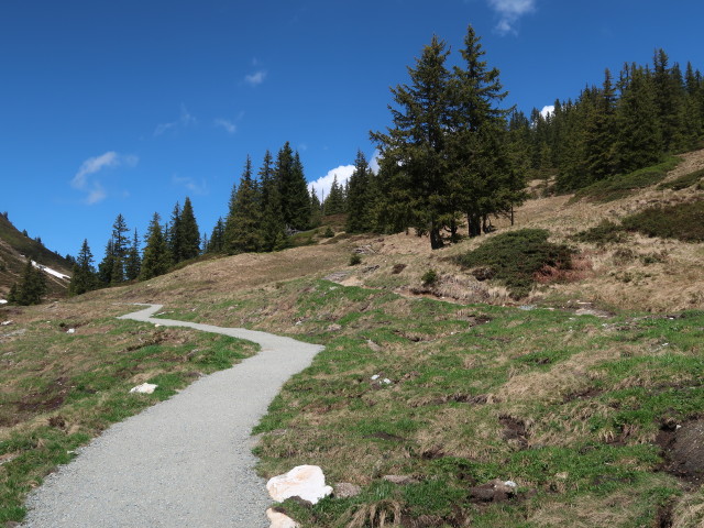 Weg 81 zwischen Eink&ouml;ldscharte und Brechhornhaus (12. Mai)
