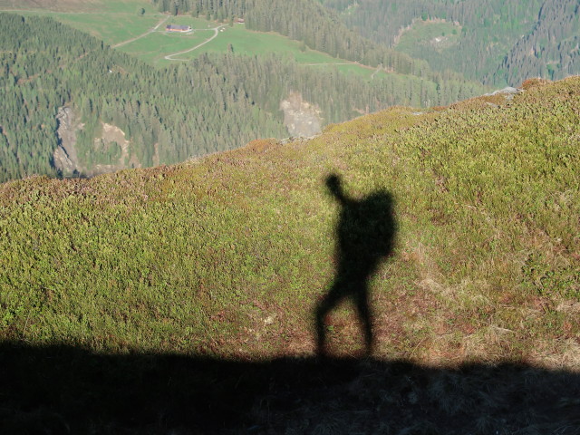 neben Weg 19 zwischen Oberen Kleinmoosalm und Schwarzkogel (13. Mai)