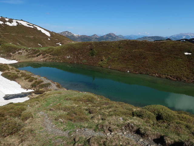 Blaue Lacke (13. Mai)