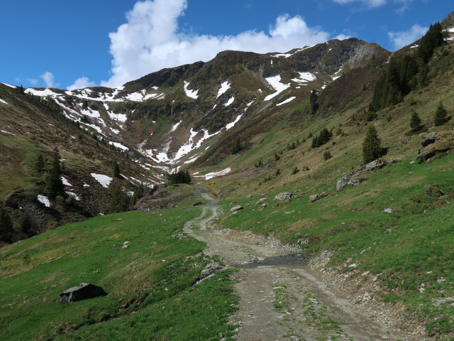 Weg 9 zwischen Trattenbachalm und Zweitausender (13. Mai)