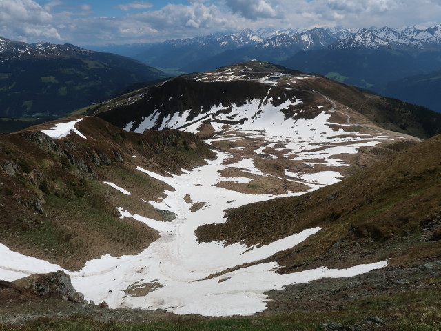 neben Weg 61A zwischen Zweitausender und Rossgruberkogel (13. Mai)