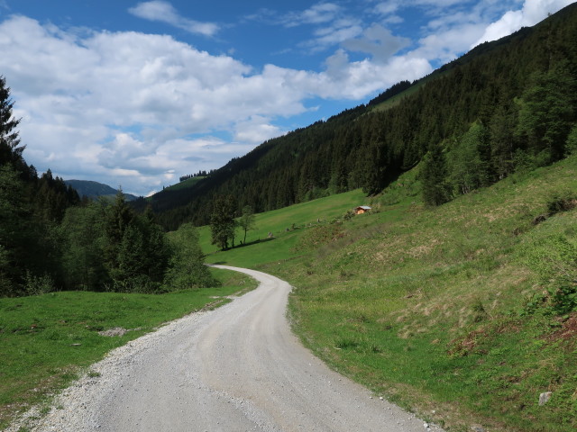 Weg 15 zwischen Ragstattalm und Kloo-Niederalm (13. Mai)