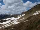 neben Weg 61A zwischen Zweitausender und Rossgruberkogel (13. Mai)