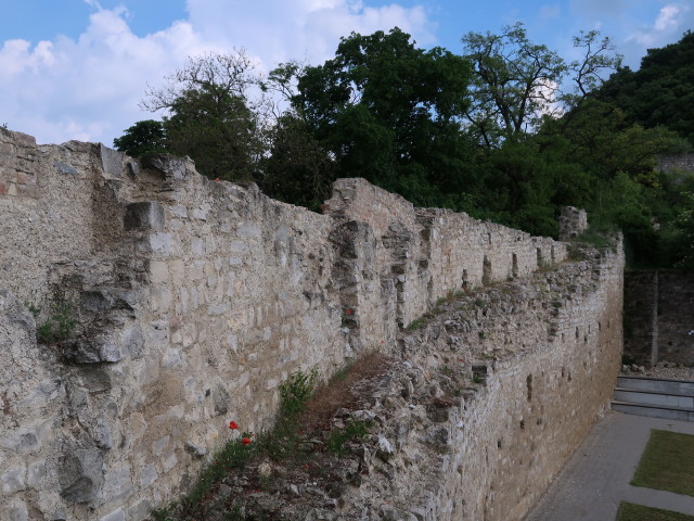 Stadtmauer