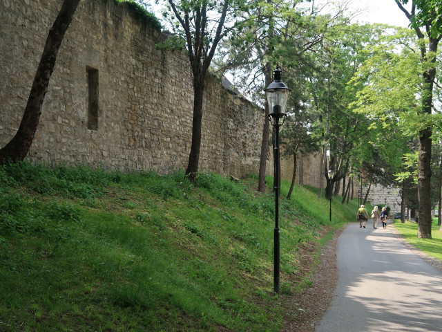 Stadtmauer