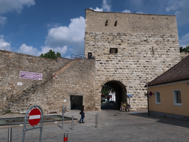 Sabine beim Ungartor