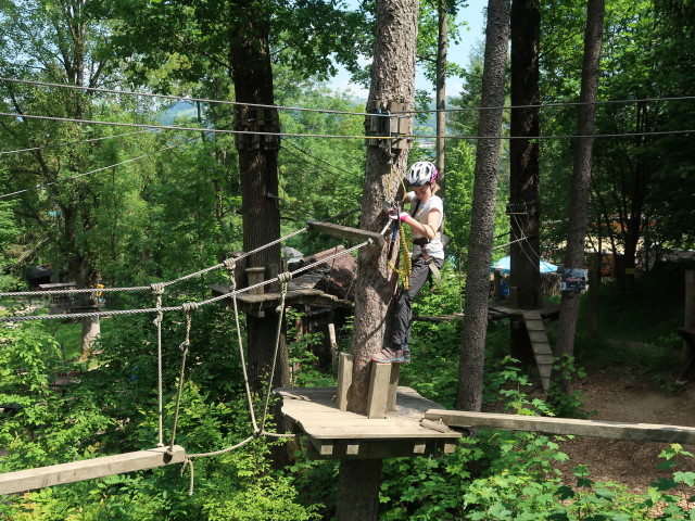 Kletterwald Buchenberg: Katja Lin im Parcours 'Marienkäfer'