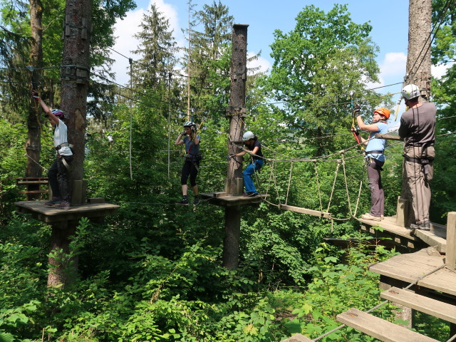 Kletterwald Buchenberg: Katja Lin, Karin, Sonja, Kerstin und Stefan im Parcours 'Marienkäfer'