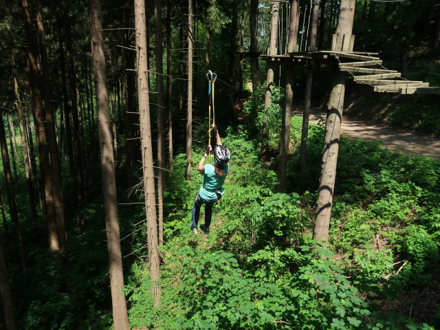 Kletterwald Buchenberg: Anja Liv im Parcours 'Buchfink'
