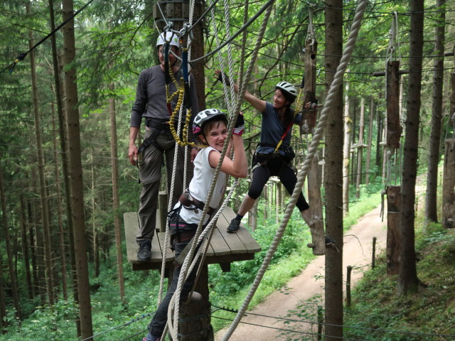 Kletterwald Buchenberg: Stefan, Katja Lin und Karin im Parcours 'Baummarder'