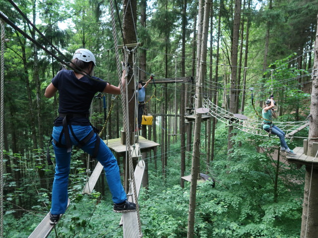 Kletterwald Buchenberg: Sonja, Tim und Anja Liv im Parcours 'Baummarder'