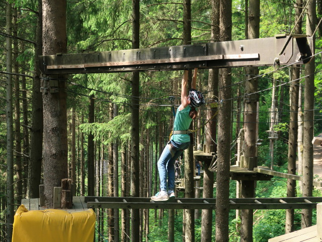 Kletterwald Buchenberg: Anja Liv im Parcours 'Baummarder'