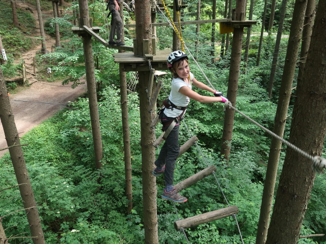 Kletterwald Buchenberg: Katja Lin im Parcours 'Baummarder'