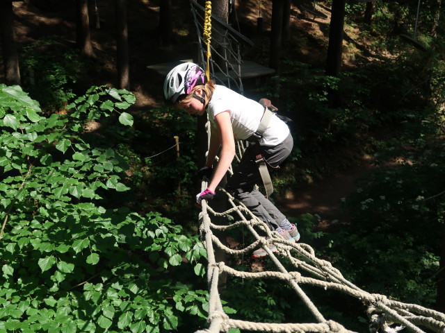 Kletterwald Buchenberg: Katja Lin im Parcours 'Baummmarder'