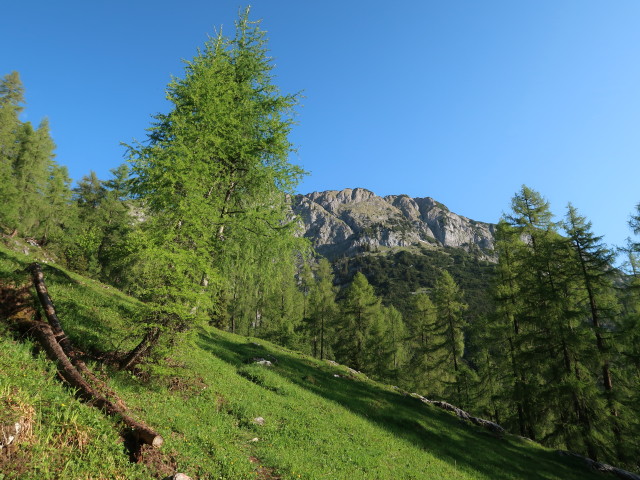 Weg 450 zwischen Brunnalm und Hochtor