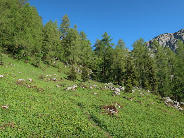 Weg 450 zwischen Brunnalm und Hochtor