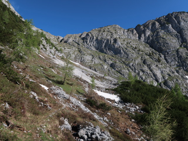 Weg 450 zwischen Brunnalm und Hochtor