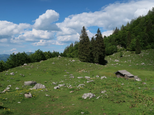 Kratzalm, 1.234 m