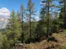 Weg 450 zwischen Hochtor und Fillingalm