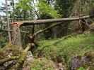 Kettensteig zwischen Angeralm und Kratzalm