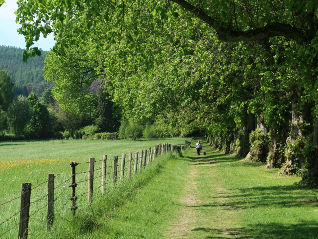 beim Blair Castle (27. Mai)