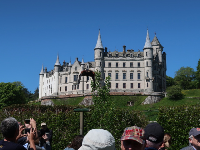 Dunrobin Castle: Falconry (28. Mai)