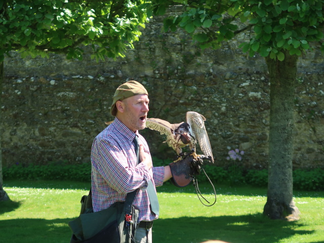 Dunrobin Castle: Falconry (28. Mai)